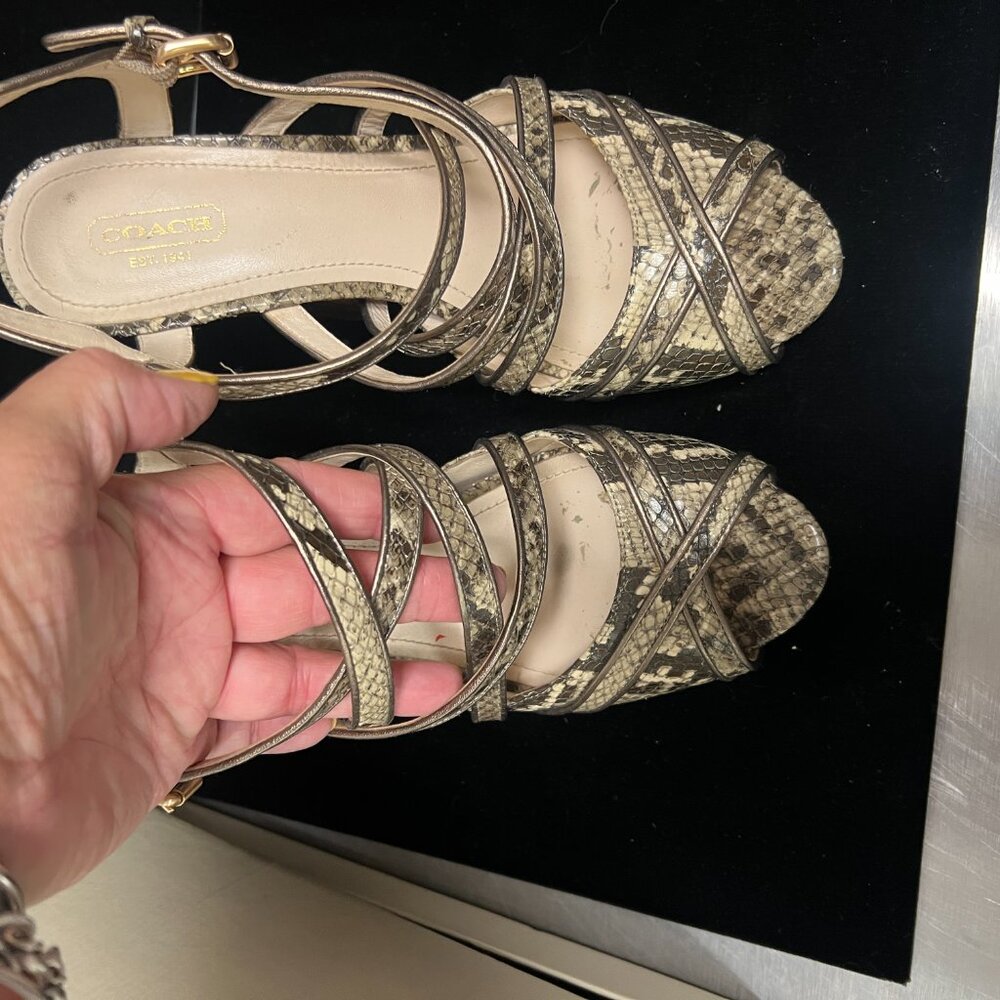 Coach Python Skin Platform Sandal - image 6